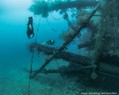 scuba diving photo