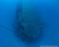 scuba diving photo