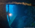 scuba diving photo