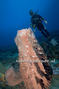 scuba diving photo