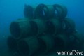scuba diving photo