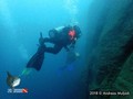scuba diving photo