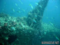 scuba diving photo