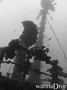 scuba diving photo