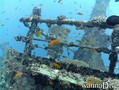scuba diving photo