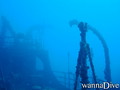 scuba diving photo