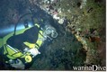 scuba diving photo