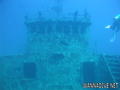 scuba diving photo