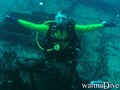 scuba diving photo