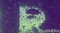 scuba diving photo