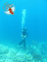 scuba diving photo