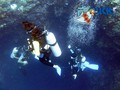scuba diving photo