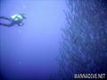 scuba diving photo