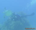scuba diving photo