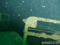 scuba diving photo