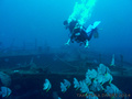 scuba diving photo