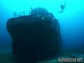 scuba diving photo