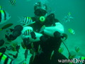 scuba diving photo