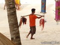 scuba diving photo