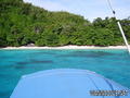 scuba diving photo