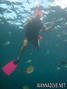 scuba diving photo