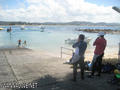 scuba diving photo
