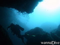 scuba diving photo