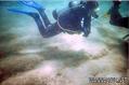 scuba diving photo