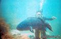 scuba diving photo
