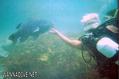 scuba diving photo