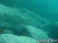 scuba diving photo