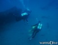 scuba diving photo
