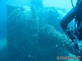 scuba diving photo