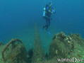 scuba diving photo