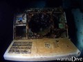 scuba diving photo