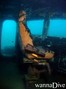 scuba diving photo