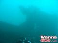 scuba diving photo