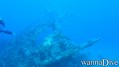 scuba diving photo