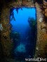scuba diving photo