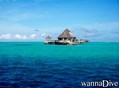scuba diving photo