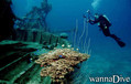 scuba diving photo