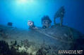 scuba diving photo