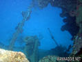 scuba diving photo
