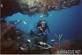 scuba diving photo