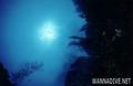 scuba diving photo