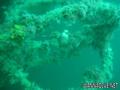 scuba diving photo
