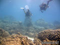 scuba diving photo