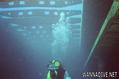 scuba diving photo