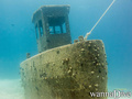 scuba diving photo