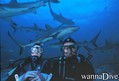 scuba diving photo